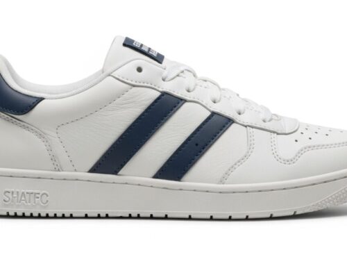 Top Degrees That Pay Well: High-Earning Career Paths