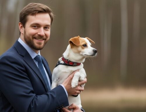 How to Master Your Online Scholarship Search for Maximum Funding