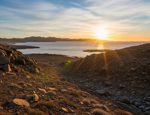 Oklahoma Public University Tuition Rates Detailed for 2026